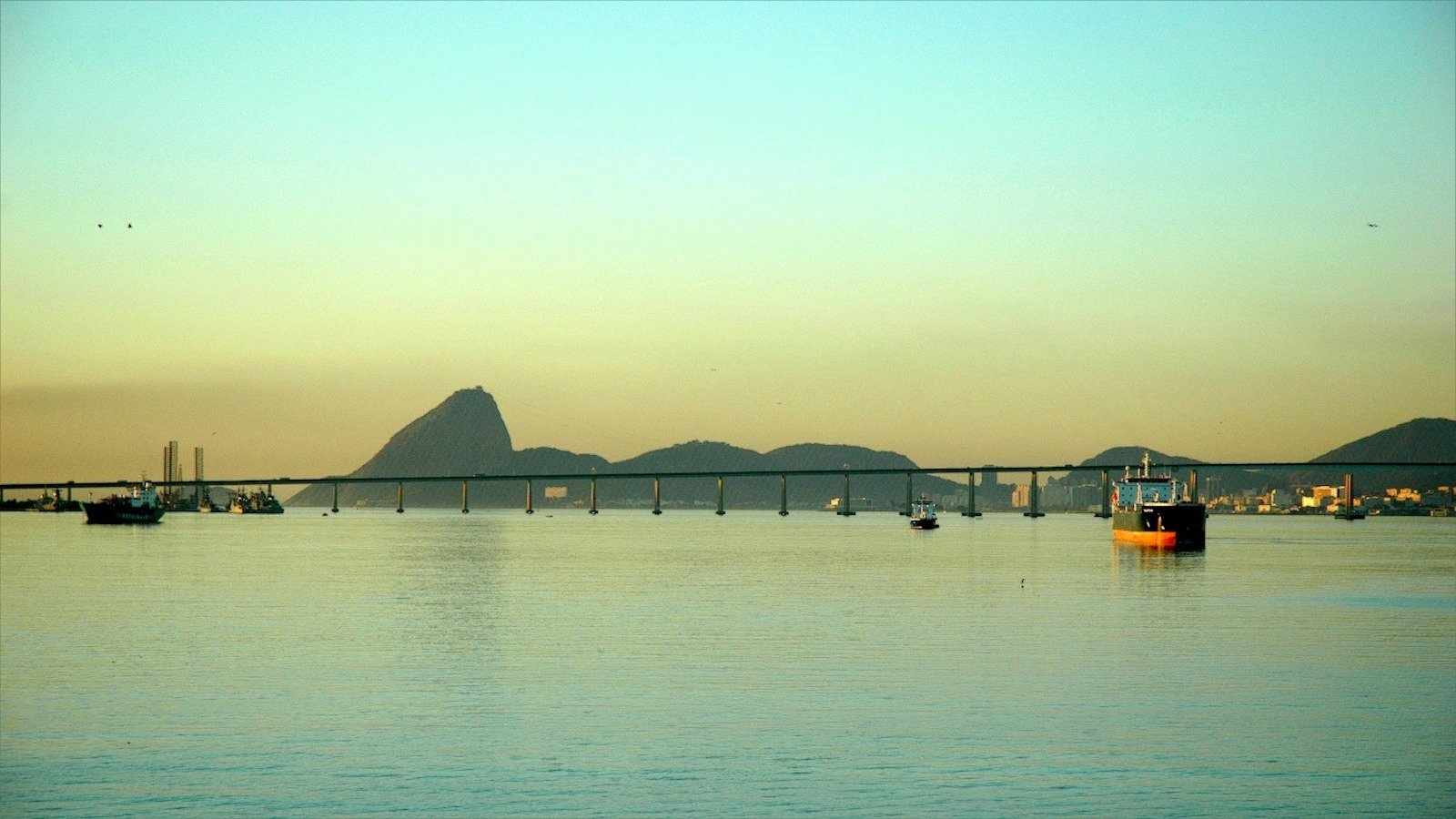 Cargo ships in a River Plate harbour